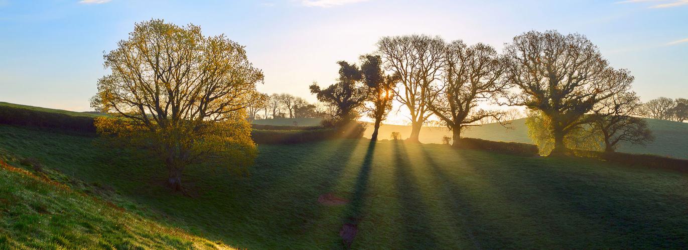 科技让生活更美好